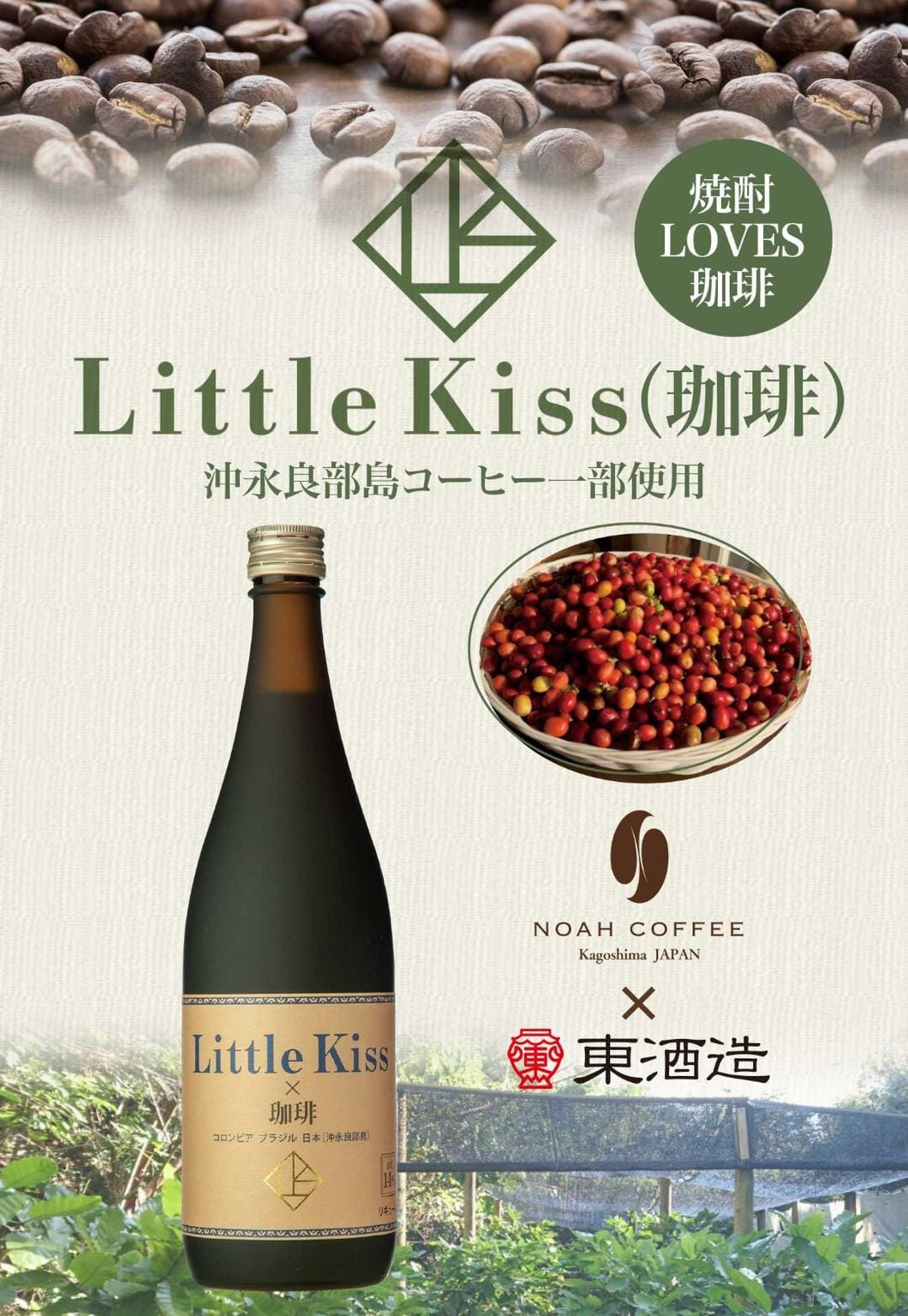 東酒造 Little Kiss 珈琲 米焼酎 Coffee Shochu liqueur 750ml